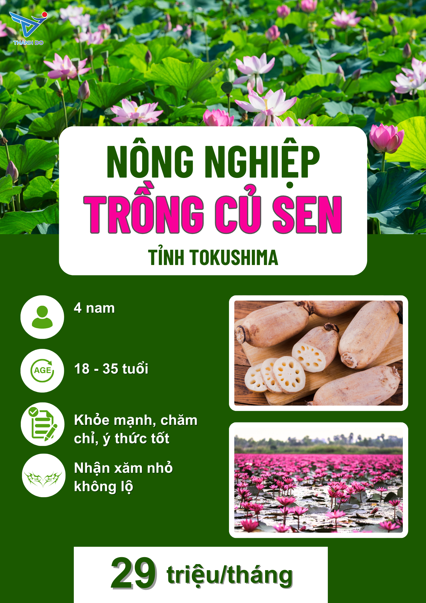 TUYÊN DỤNG 4F NAM ĐƠN HÀNG NÔNG NGHIỆP TRỒNG CỦ SEN