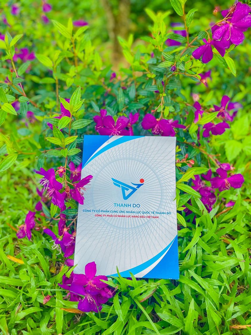 CÔNG TY XKLĐ THÀNH ĐÔ TUYỂN 06 NỮ - LÀM THÙNG CATTON