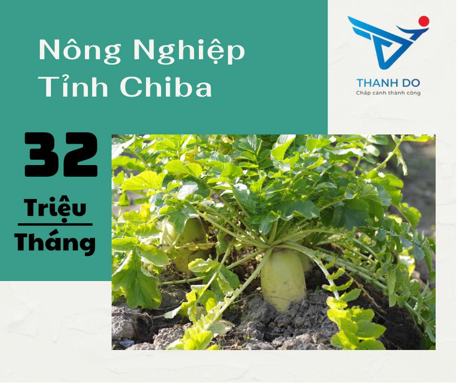 CÔNG TY XKLĐ THÀNH ĐÔ TUYỂN 02 NAM - ĐƠN HÀNG NÔNG NGHIỆP