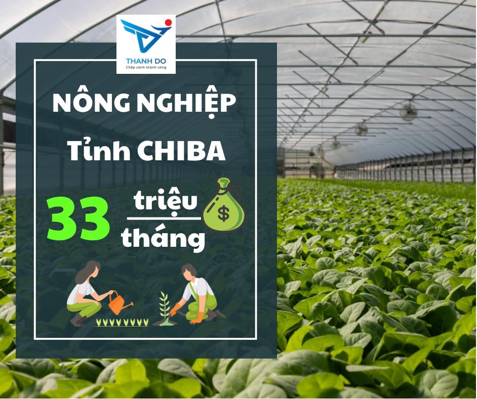 CÔNG TY XKLĐ THÀNH ĐÔ TUYỂN 04 NỮ - ĐƠN HÀNG NÔNG NGHIỆP