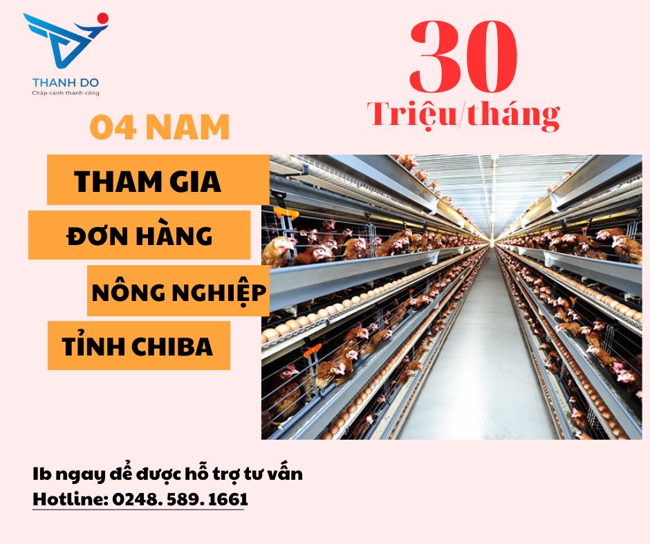 CÔNG TY XKLĐ THÀNH ĐÔ TUYỂN 04 NAM - ĐƠN HÀNG NÔNG NGHIỆP