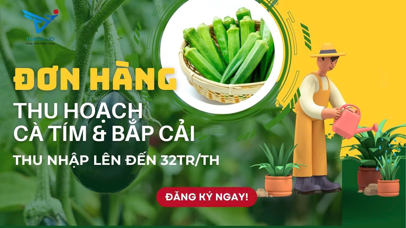 Đơn hàng nông nghiệp Nhật Bản