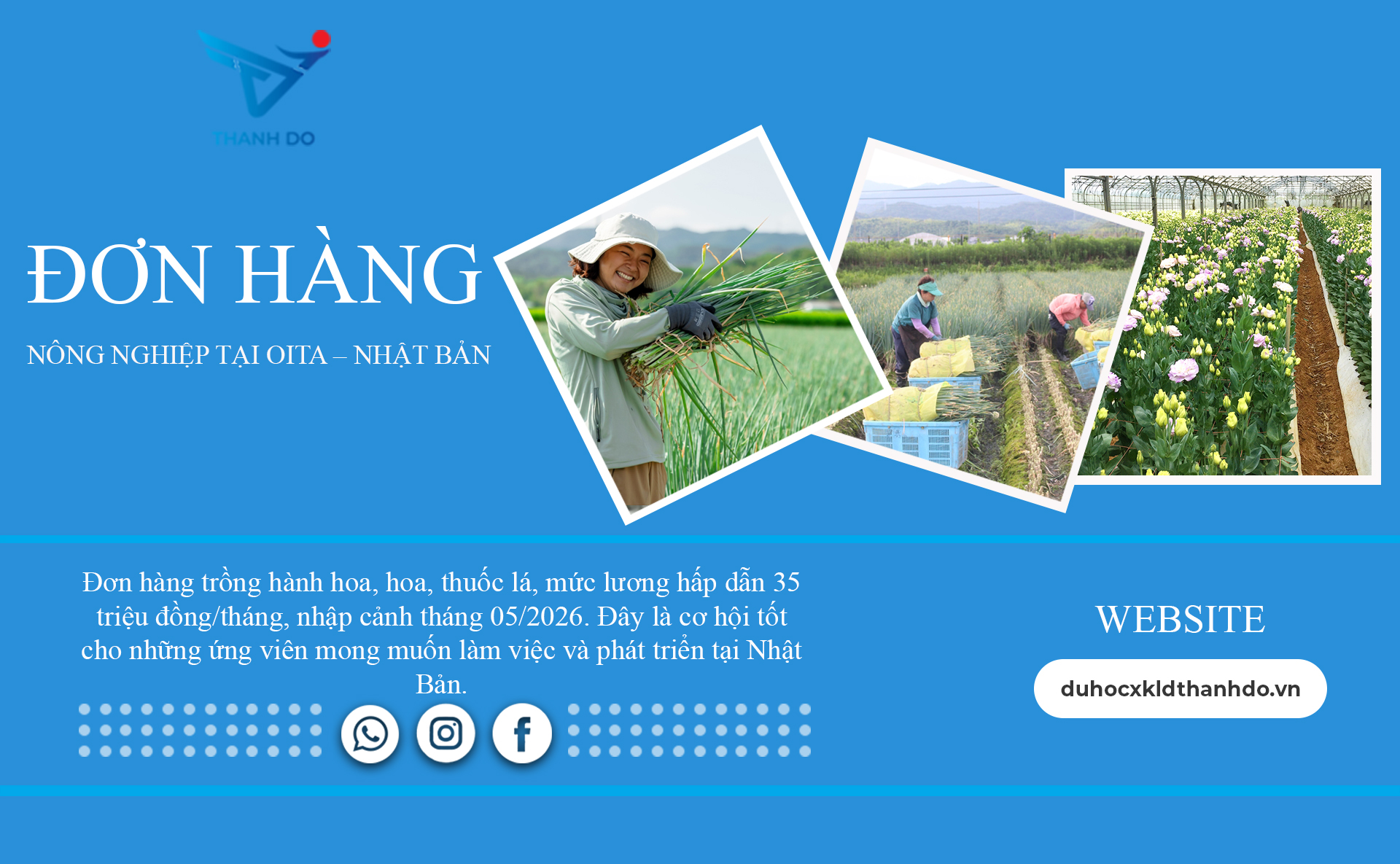 ĐƠN HÀNG NÔNG NGHIỆP TẠI OITA – NHẬT BẢN