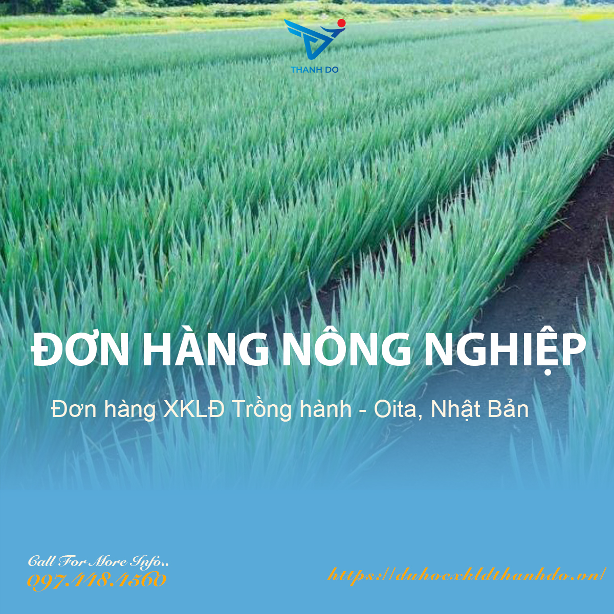 Đơn hàng xuất khẩu lao động Trồng hành - Oita, Nhật Bản